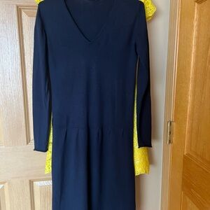 Chic Navy Long Sleeve Dress